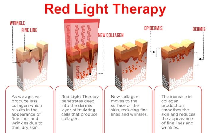 The Zorb Red Light Therapy Device